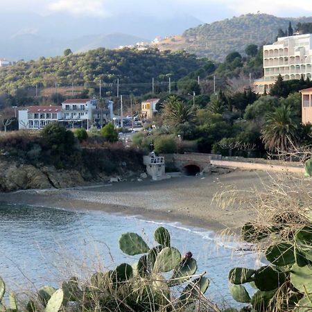 Apartament Les Pieds Dans L'Eau Banyuls-sur-Mer Zewnętrze zdjęcie