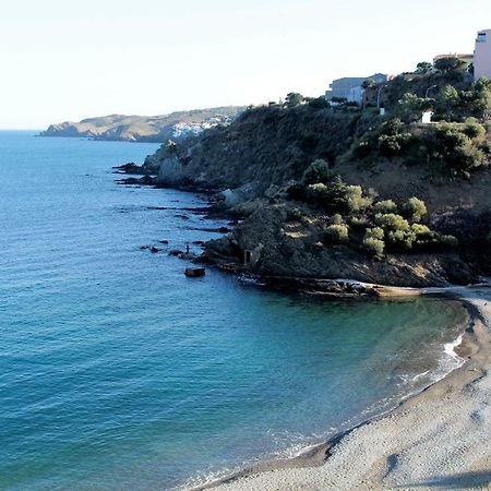 Apartament Les Pieds Dans L'Eau Banyuls-sur-Mer Zewnętrze zdjęcie