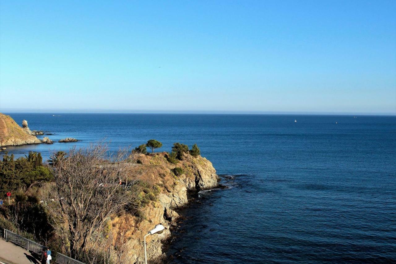 Apartament Les Pieds Dans L'Eau Banyuls-sur-Mer Zewnętrze zdjęcie